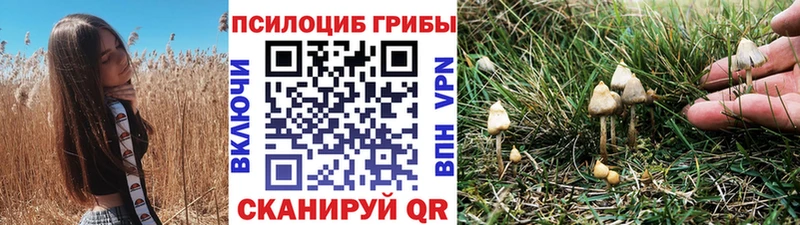 Псилоцибиновые грибы MAGIC MUSHROOMS  Туймазы 