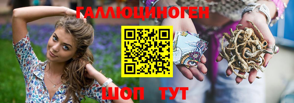 Галлюциногенные грибы Psilocybe Туймазы